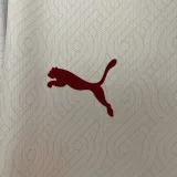 24/25 Galatasaray  Away Fans Soccer Jersey