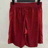 24/25 LIV Home  Player Version Shorts Pants