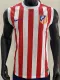 25/26 ATM  Home Player Version Vest