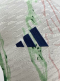 24/24 Italy White Green  Player Version Training Shirts