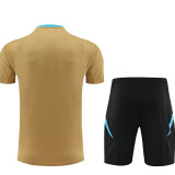24/25 Argentina Mud Yellow Training Short Suit