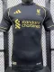 24/25 LIV Grey Special Edition Player Version Soccer Jersey