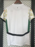 24/25 Cote d'Ivoire Away Fans Soccer Jersey