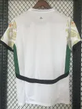 24/25 Cote d'Ivoire Away Fans Soccer Jersey