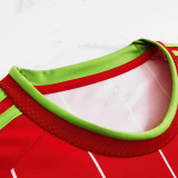 2015/2016  Wales  Home Retro Soccer Jersey
