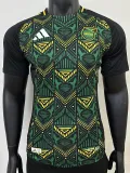 24/25 Jamaica  Away  Player Version  Soccer Jersey