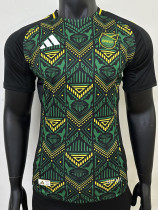 24/25 Jamaica  Away  Player Version  Soccer Jersey
