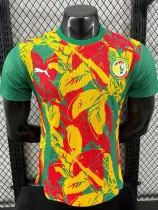24/25 Senegal Green Puzzle Player Version Training Shirts