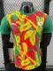 24/25 Senegal Green Puzzle Player Version Training Shirts