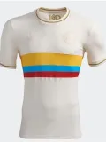 24/25 Colombia  Anniversary Edition Fans Soccer Jersey