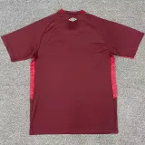 25/26 Lanus Home Fans Soccer Jersey