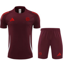 24/25 Bayern Deep Red Training Short Suit