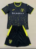 24/25 Norwich Away Kids Soccer Jersey