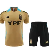 24/25 Argentina Mud Yellow Training Short Suit
