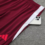 24/25  Bayern Bordeaux  Player version Half Pull Tracksuit  (球员版、半拉链)