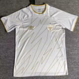 24/25 Beitar Jerusalem FC Third Fans Soccer Jersey