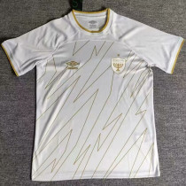 24/25 Beitar Jerusalem FC Third Fans Soccer Jersey