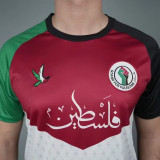 24/25 Palestine Translated West Island  Flag  Fans Soccer Jersey