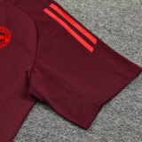24/25 Bayern Deep Red Training Short Suit