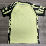 25/26 Botafogo Goalkeeper Light Green Fans Soccer Jersey