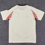 25/26 D.C.United Beige Fans Soccer Jersey