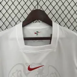 24/25 Nigeria Home Fans Soccer Jersey