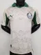 25/26  Palmeiras Third  Player Version Soccer Jersey
