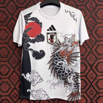 24/25 Japan Arowana Special Edition Fans  Soccer Jersey