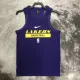 22/23 LAKERS Purple NBA Training Vest