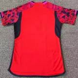 24/25 Spain Red Fans Soccer Jersey