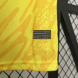 2024  France Goalkeeper Yellow  Fans Soccer Jersey