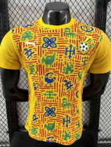24/25 Ghana Yellow  Player Version Pre Match Training Shirts