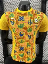 24/25 Ghana Yellow  Player Version Pre Match Training Shirts