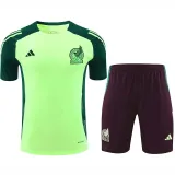24/25  Mexico Green Training Short Suit