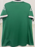 2011/2012 Mexico Home Retro Soccer Jersey