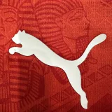 24/25 Egypt Home  Player Version Soccer Jersey