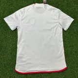 24/25 ST Louis City White Fans Soccer Jersey