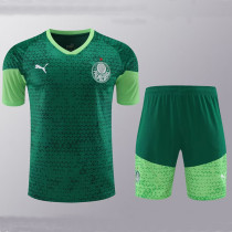 24/25  Palmeiras  Green Training Short Suit  （绿色）