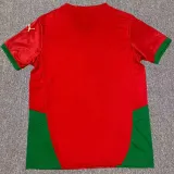 24/25 Cameroon Home Fans Soccer Jersey