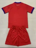 24/25  Fiorentina Third Kids  Soccer Jersey