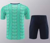 24/25 BAR Green Training Short Suit
