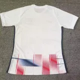 24/25 San Lorenzo de Almagro Away Fans Soccer Jersey
