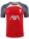 24/25  LIV Red Gray Shoulder  Training Shirts(红色灰肩）