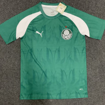 24/25 Palmeiras Green Training shirts
