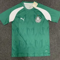 24/25 Palmeiras Green Training shirts