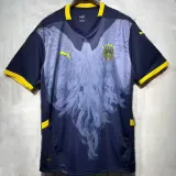 24/25 Fenerbahce Special Edition Dard  Blue Fans Soccer Jersey