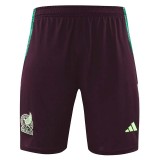 24/25  Mexico maroon Tank top and shorts suit