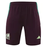24/25  Mexico maroon Tank top and shorts suit