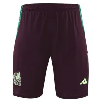 24/25  Mexico maroon Training Shorts Pants