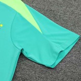 24/25  Brazil Green Training Short Suit